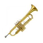 Professional Trumpet Silver Gold
