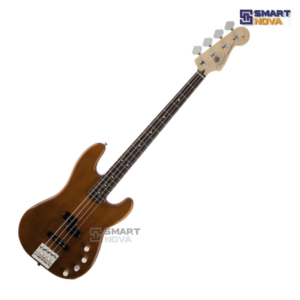5 string fender