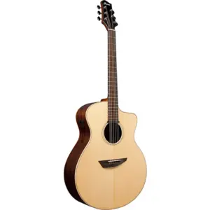 Ibanez40 INCH