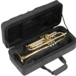 Professional Cornet Silver Gold